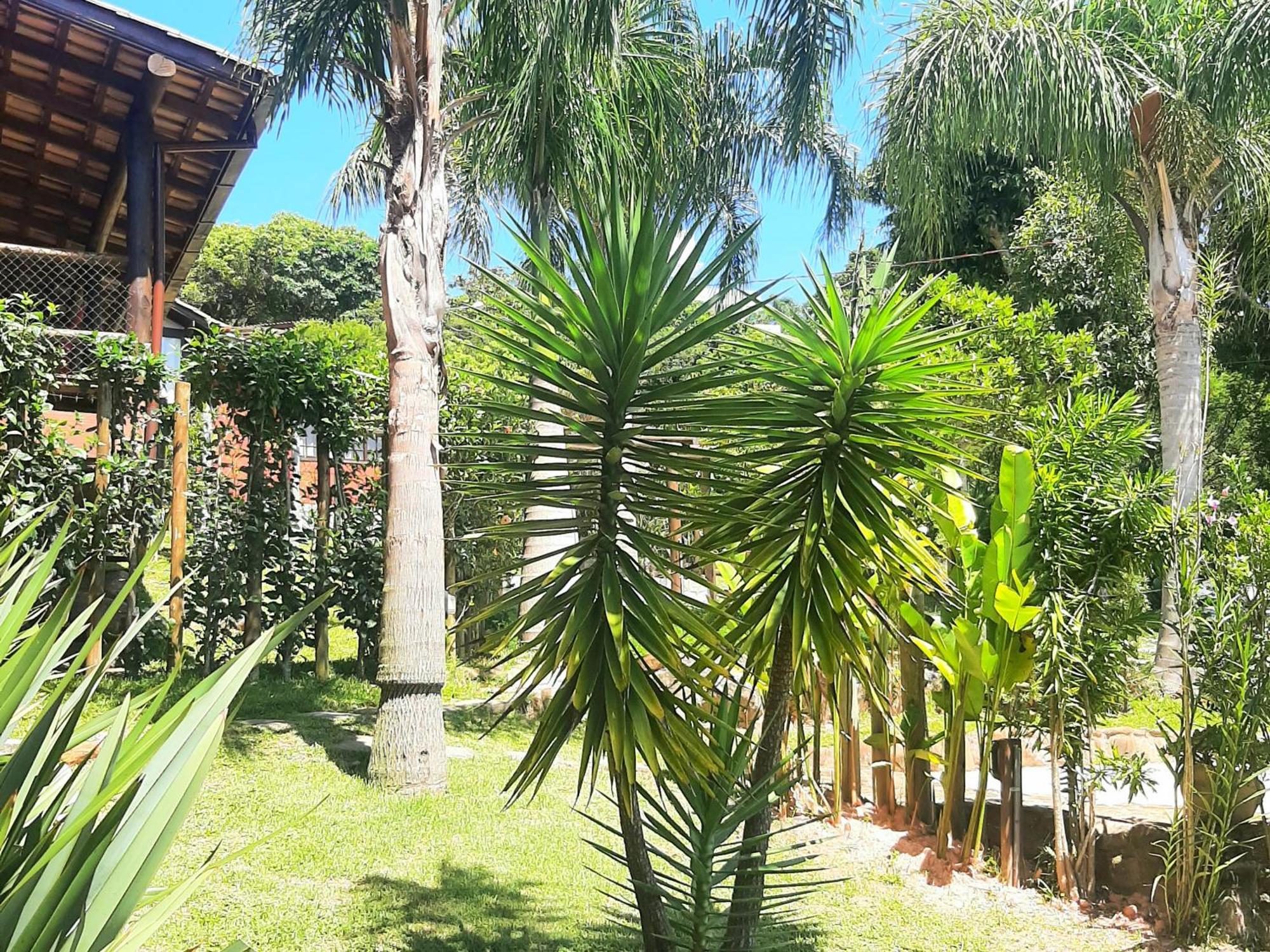 הוילה גרופאבה Residencial Hibiscos - Vista Mar מראה חיצוני תמונה