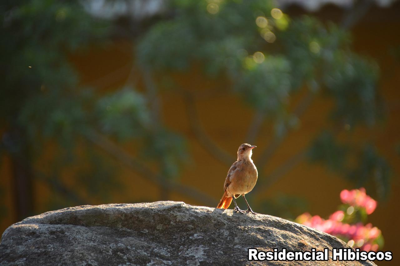 הוילה גרופאבה Residencial Hibiscos - Vista Mar מראה חיצוני תמונה